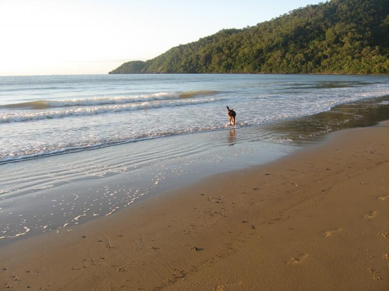 205 Cedar Road, Daintree QLD 4873