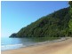 205 Cedar Road, Daintree QLD 4873