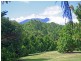 3353 Mossman Daintree Road, Daintree QLD 4873