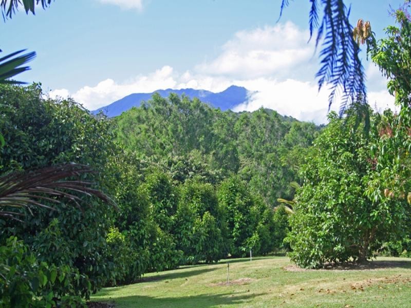 3353 Mossman Daintree Road, Daintree QLD 4873