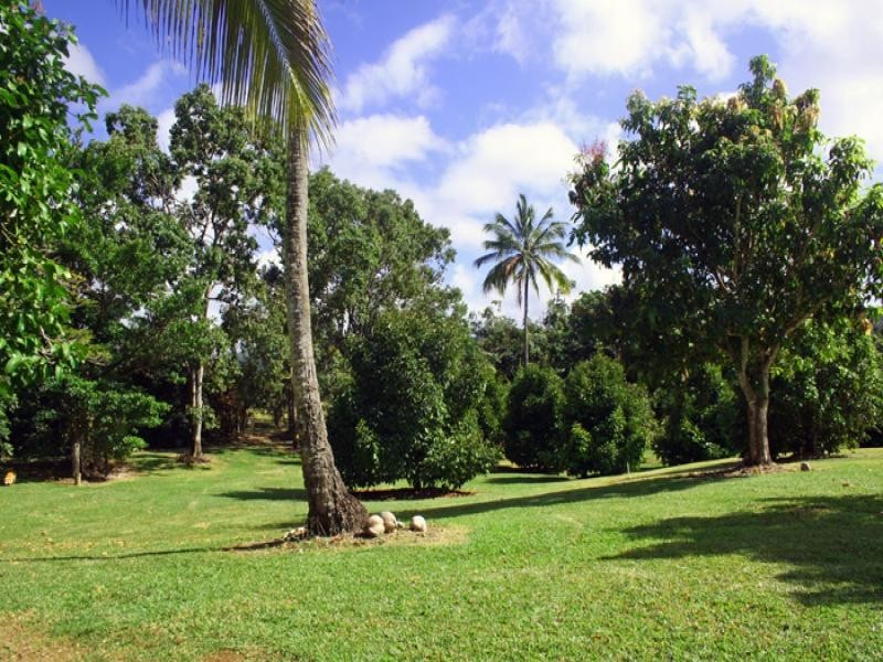 3353 Mossman Daintree Road, Daintree QLD 4873