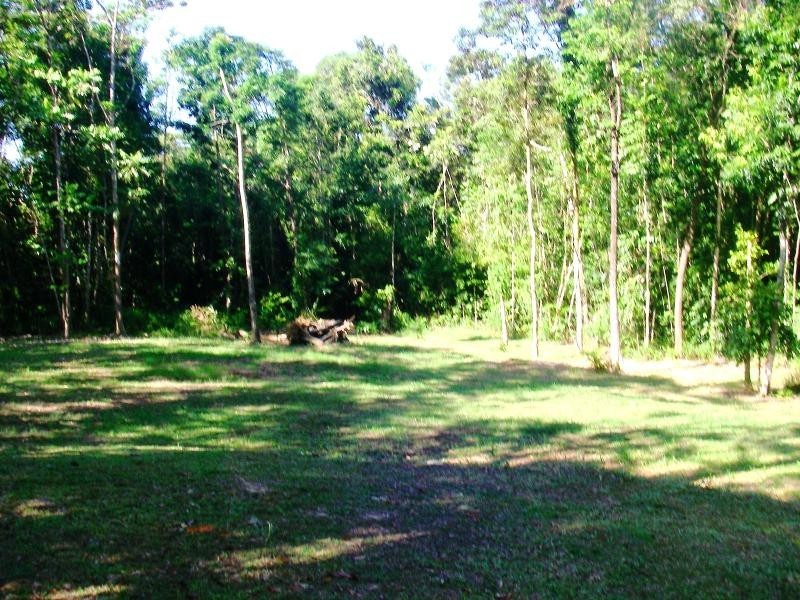 57 George Road, Daintree QLD 4873