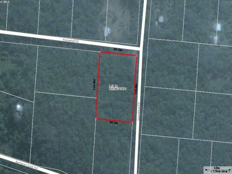 Lot 125 Quandong Road, Daintree QLD 4873