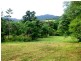 36 Mahogany Road, Daintree QLD 4873