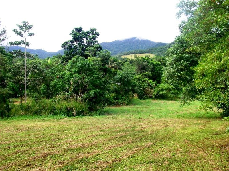 36 Mahogany Road, Daintree QLD 4873