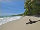 36 Mahogany Road, Daintree QLD 4873