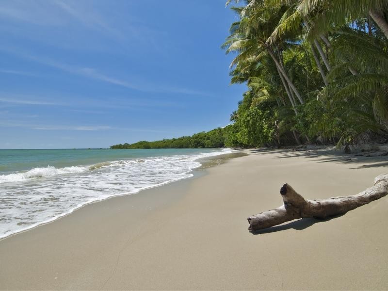 36 Mahogany Road, Daintree QLD 4873