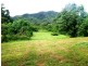 36 Mahogany Road, Daintree QLD 4873