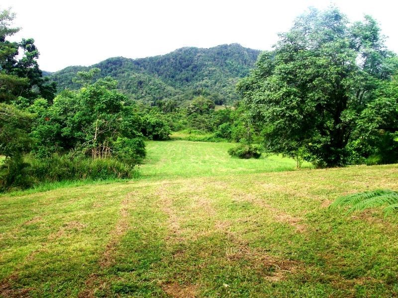 36 Mahogany Road, Daintree QLD 4873