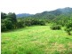 36 Mahogany Road, Daintree QLD 4873