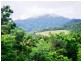 36 Mahogany Road, Daintree QLD 4873