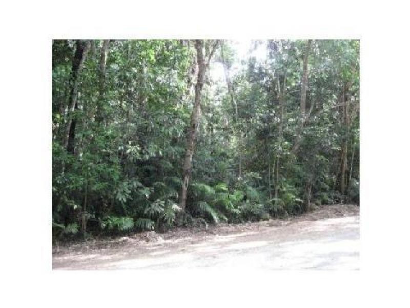 212 teak Road, Daintree QLD 4873