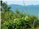 1307 Mossman Daintree Rd, Wonga QLD 4873