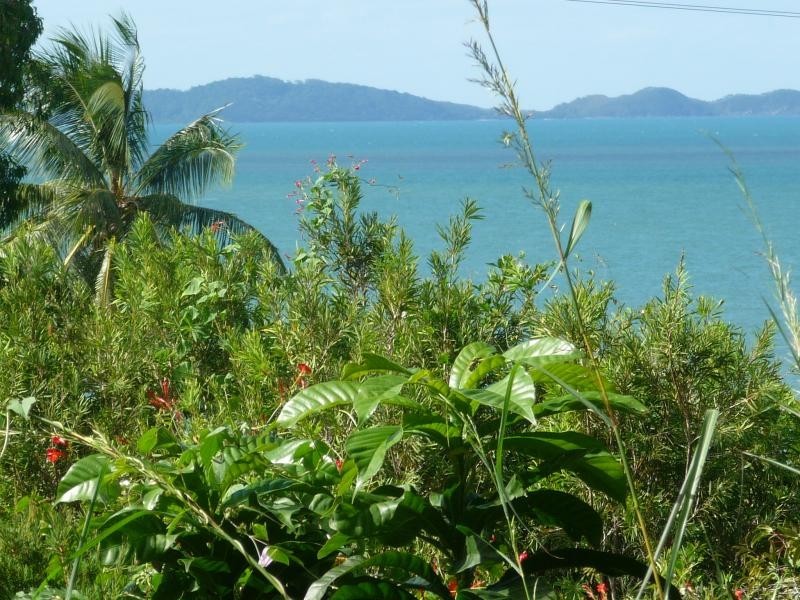 1307 Mossman Daintree Rd, Wonga QLD 4873