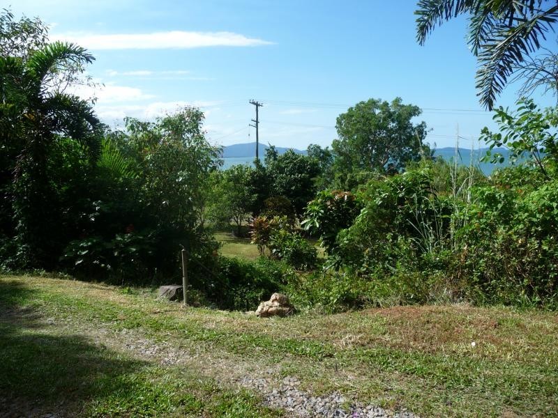1307 Mossman Daintree Rd, Wonga QLD 4873