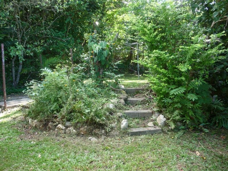 1307 Mossman Daintree Rd, Wonga QLD 4873