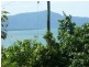 1307 Mossman Daintree Rd, Wonga QLD 4873
