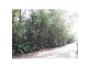 212 Teak Road, Daintree QLD 4873