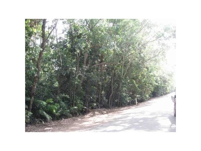 212 Teak Road, Daintree QLD 4873