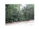 212 Teak Road, Daintree QLD 4873