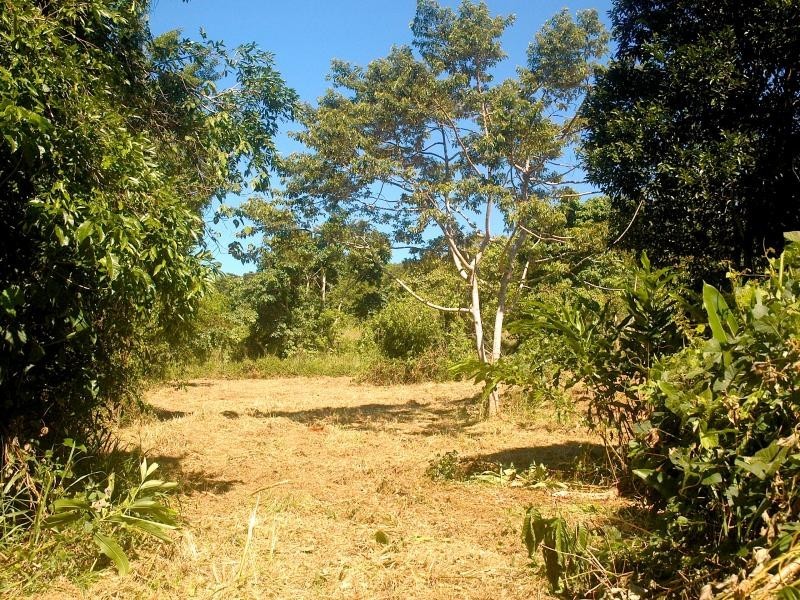 304 Ironbark Road, Daintree QLD 4873