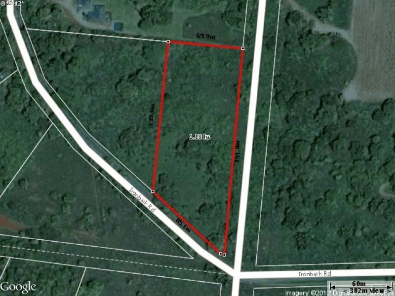 304 Ironbark Road, Daintree QLD 4873