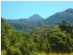 304 Ironbark Road, Daintree QLD 4873