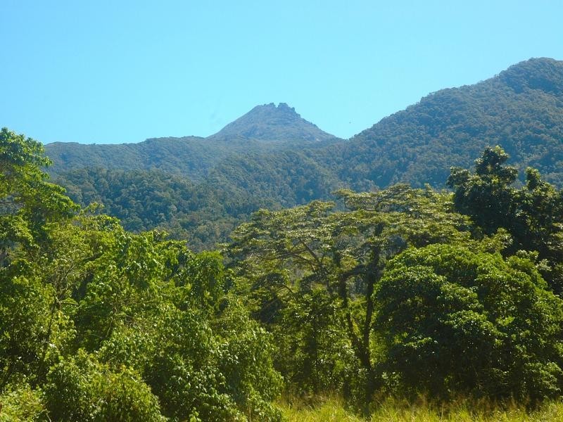 304 Ironbark Road, Daintree QLD 4873