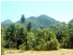 304 Ironbark Road, Daintree QLD 4873