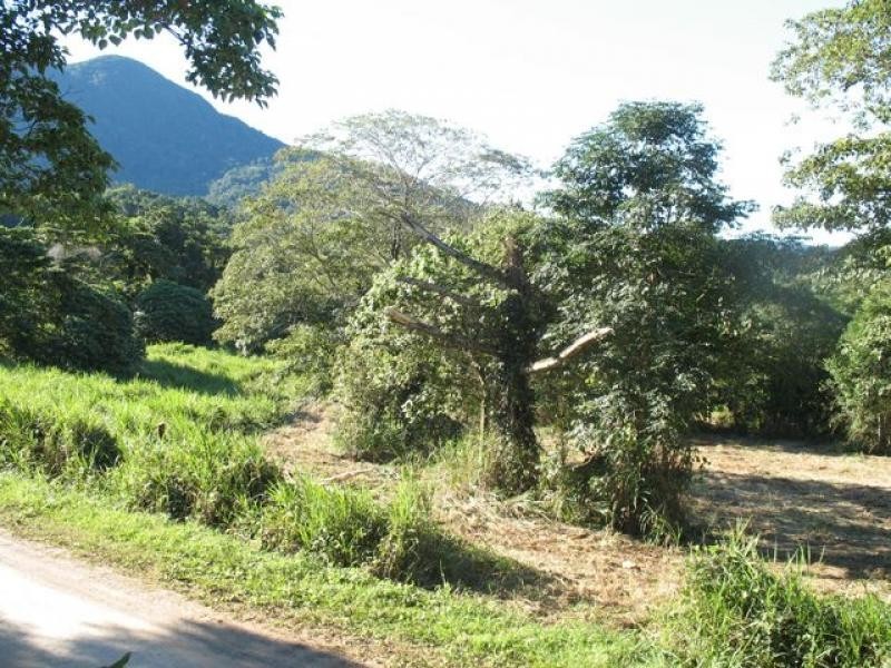 304 Ironbark Road, Daintree QLD 4873
