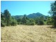 304 Ironbark Road, Daintree QLD 4873