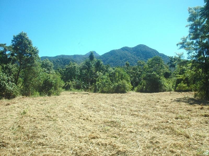 304 Ironbark Road, Daintree QLD 4873