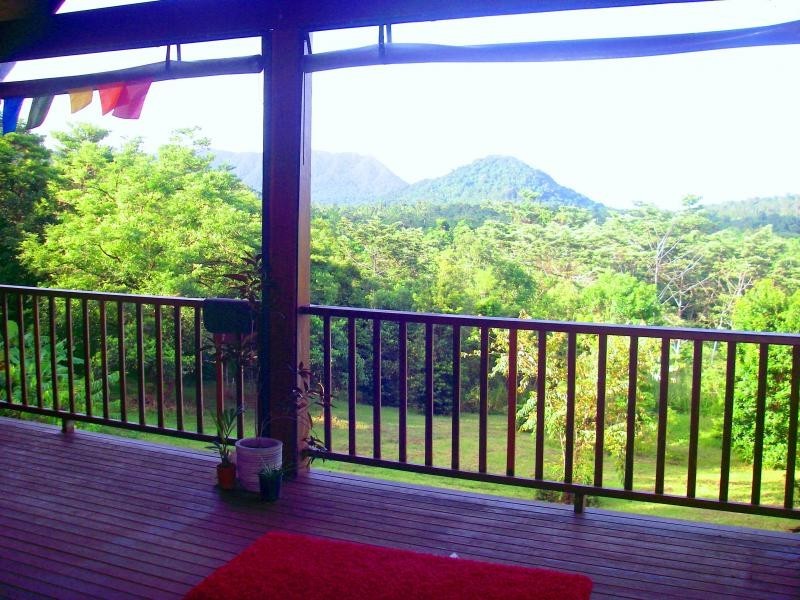 14 Mahogany Road, Daintree QLD 4873