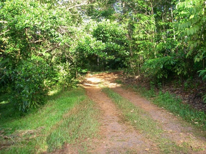 14 Mahogany Road, Daintree QLD 4873