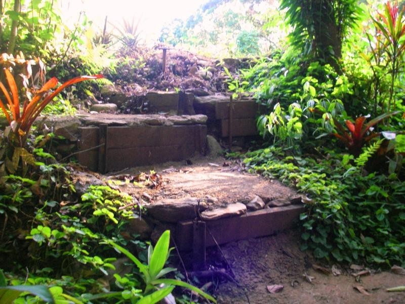 513 Silver Ash Road, Daintree QLD 4873