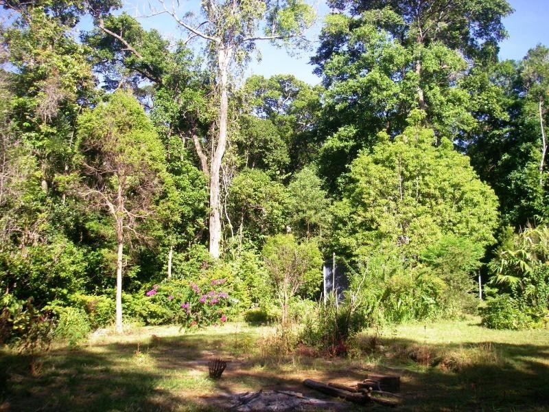 513 Silver Ash Road, Daintree QLD 4873