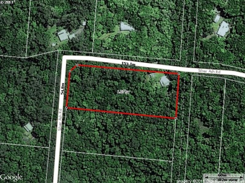 513 Silver Ash Road, Daintree QLD 4873