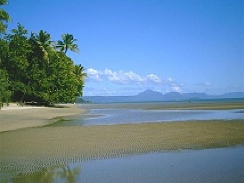 2/3 Calophyllum Cl, Wonga QLD 4873