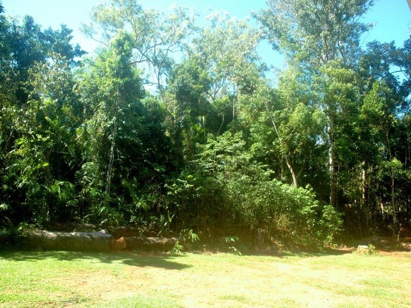 144 Quandong road, Daintree QLD 4873