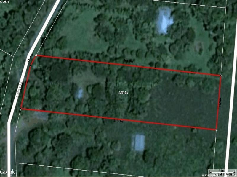 31 Ironbark Road, Daintree QLD 4873