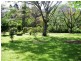 31 Ironbark Road, Daintree QLD 4873
