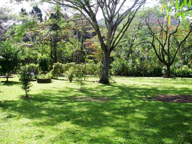 31 Ironbark Road, Daintree QLD 4873