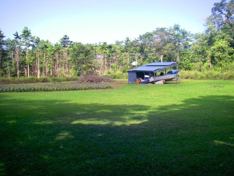 31 Ironbark Road, Daintree QLD 4873