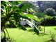 31 Ironbark Road, Daintree QLD 4873