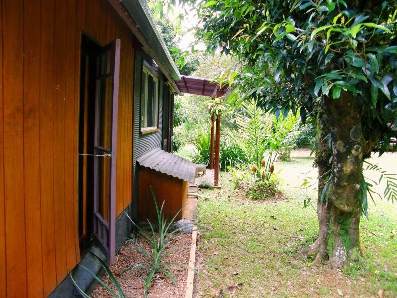 31 Ironbark Road, Daintree QLD 4873