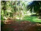 31 Ironbark Road, Daintree QLD 4873