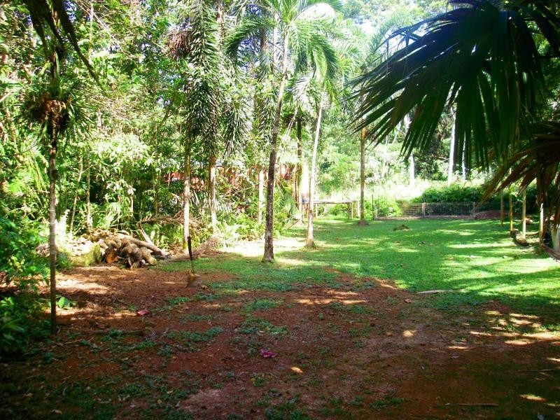 31 Ironbark Road, Daintree QLD 4873