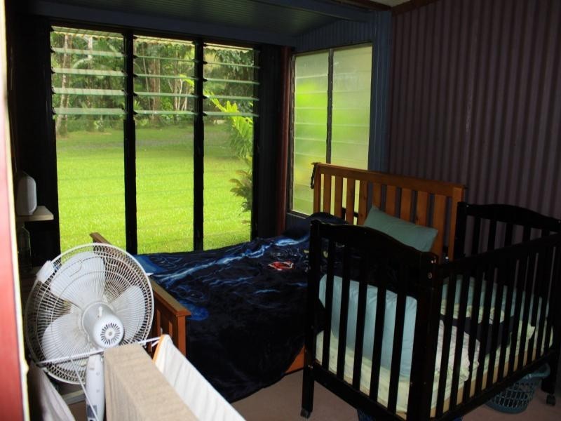 31 Ironbark Road, Daintree QLD 4873
