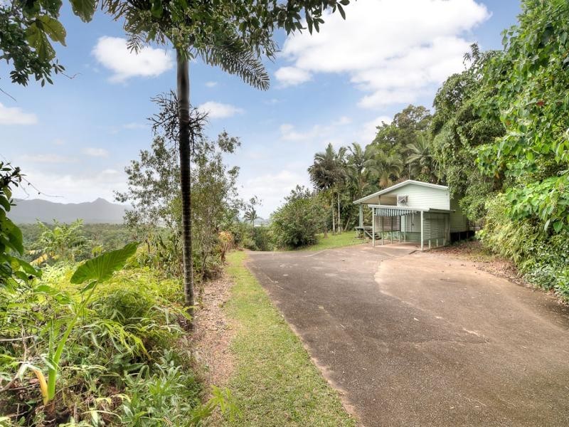 2913 Mossman Daintree Road, Daintree QLD 4873