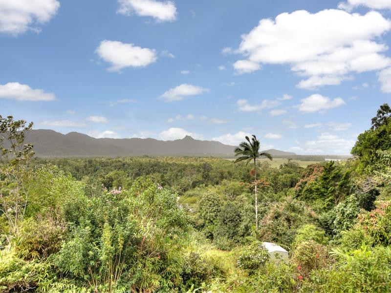 2913 Mossman Daintree Road, Daintree QLD 4873
